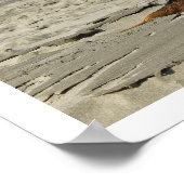 Bernese Mountain Dog am Strand Poster (Ecke)