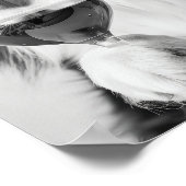 Bernese Mountain Dog and Wine Wall Art, Black and  Poster (Ecke)