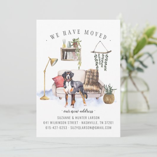 Bernese Mountain Dog | Ankündigung der Beförderung (Stehend Vorderseite)