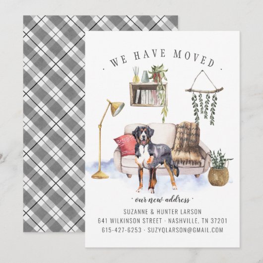 Bernese Mountain Dog | Ankündigung der Beförderung (Vorne/Hinten)