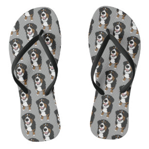 Bernese Mountain Dog Badesandalen