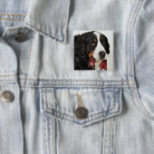 Bernese Mountain Dog (Berner Sennenhund) mit Button (Beispiel)