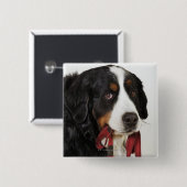 Bernese Mountain Dog (Berner Sennenhund) mit Button (Vorne & Hinten)
