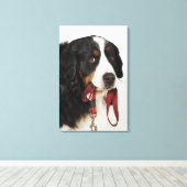 Bernese Mountain Dog (Berner Sennenhund) mit Leinwanddruck (Insitu (Holzboden))