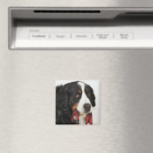 Bernese Mountain Dog (Berner Sennenhund) mit Magnet (In Situ (Geschirrspüler))