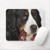 Bernese Mountain Dog (Berner Sennenhund) mit Mousepad (Mit Mouse)