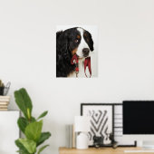 Bernese Mountain Dog (Berner Sennenhund) mit Poster (Heimbüro)