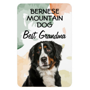 Bernese Mountain Dog Bestes Oma Magnet