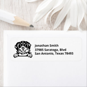 BERNESE MOUNTAIN DOG Bild auf Rücksendeadresse