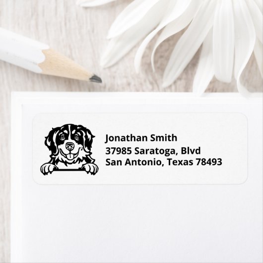 BERNESE MOUNTAIN DOG | Bild auf Rücksendeadresse (Insitu)