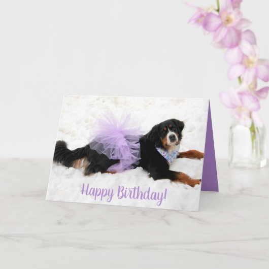 Bernese Mountain Dog Birthday Karte (Orchidee)