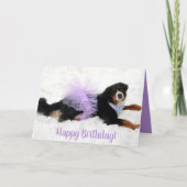 Bernese Mountain Dog Birthday Karte (Vorderseite)