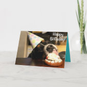 Bernese Mountain Dog Birthday Karte (Vorderseite)