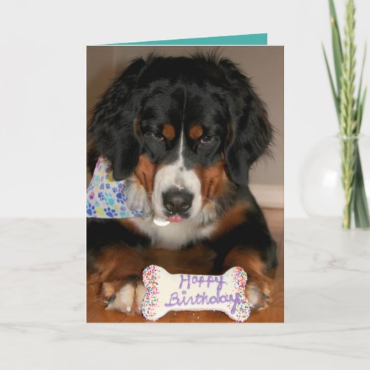 Bernese Mountain Dog Birthday Karte (Vorderseite)