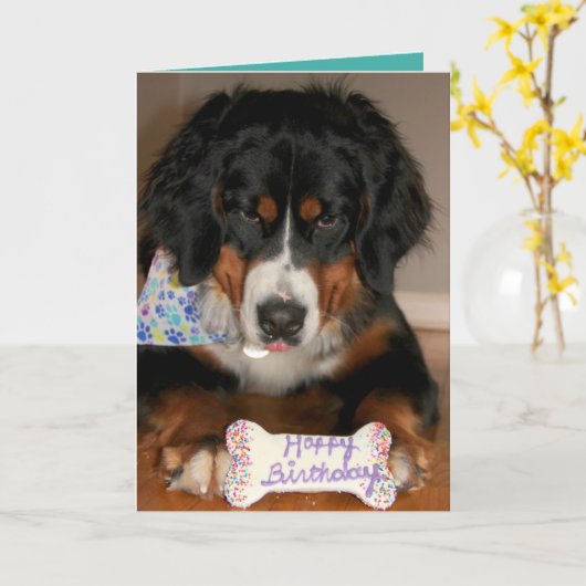 Bernese Mountain Dog Birthday Karte (Gelbe Blume)