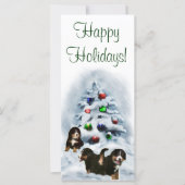 Bernese Mountain Dog Christmas Cards (Vorderseite)