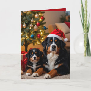Bernese Mountain Dog Christmas Karte