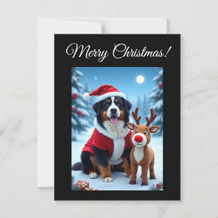 Bernese Mountain Dog Christmas Postkarte