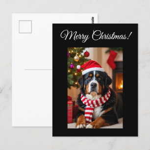 Bernese Mountain Dog Christmas Postkarte