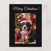 Bernese Mountain Dog Christmas Postkarte (Vorderseite)