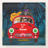 Bernese Mountain Dog Driving Car Beängstigend Hall Glasuntersetzer (Vorderseite)