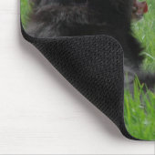 Bernese Mountain Dog Enjoys Sunshine Mousepad (Ecke)