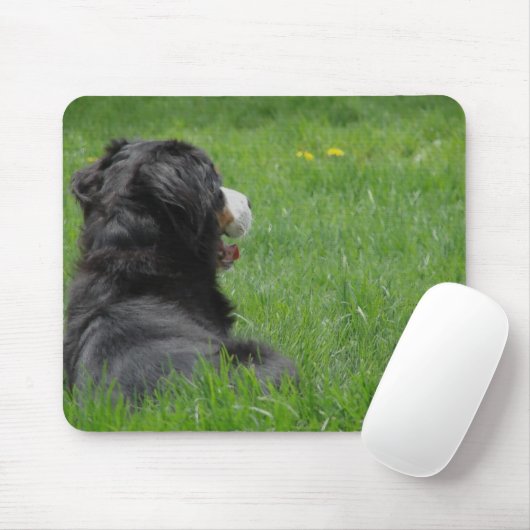 Bernese Mountain Dog Enjoys Sunshine Mousepad (Mit Mouse)