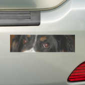 Bernese Mountain Dog Eyes Autoaufkleber (Auf Auto)