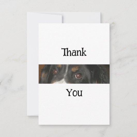 Bernese Mountain Dog Eyes Dankeskarte (Vorderseite)
