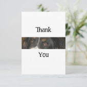 Bernese Mountain Dog Eyes Dankeskarte (Stehend Vorderseite)
