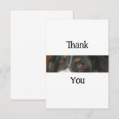 Bernese Mountain Dog Eyes Dankeskarte (Vorne/Hinten)