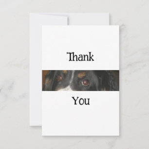 Bernese Mountain Dog Eyes Dankeskarte