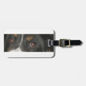Bernese Mountain Dog Eyes Gepäckanhänger (Vorderseite horizontal)