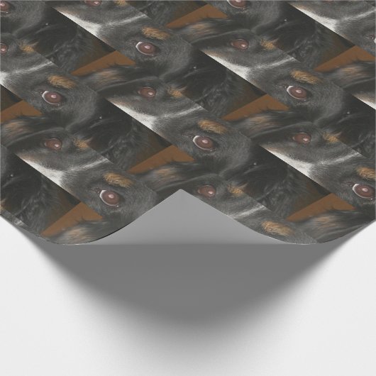 Bernese Mountain Dog Eyes Geschenkpapier (Ecke)