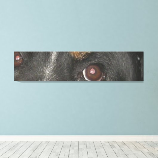 Bernese Mountain Dog Eyes Leinwanddruck (Insitu (Holzboden))
