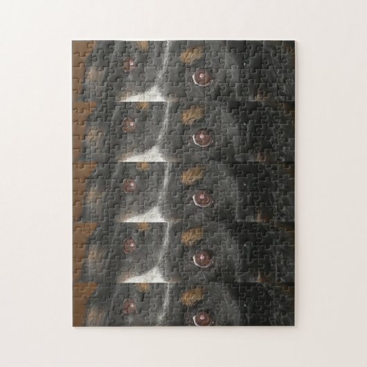 Bernese Mountain Dog Eyes Puzzle (Vertikal)