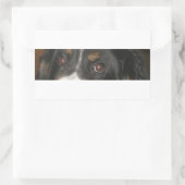 Bernese Mountain Dog Eyes Rechteckiger Aufkleber (Tasche)