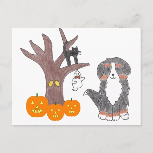 Bernese Mountain Dog Fall Postkarte (Vorderseite)