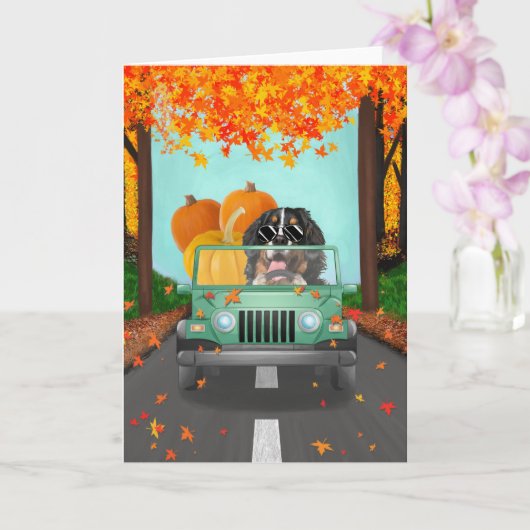 Bernese Mountain Dog Fall Pumpkin Karte (Orchidee)
