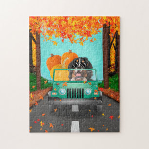 Bernese Mountain Dog Fall Pumpkin Puzzle