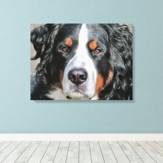 Bernese Mountain Dog Foto Image Leinwanddruck (Insitu (Holzboden))