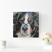 Bernese Mountain Dog Foto Image Quadratische Wanduhr (Zuhause)