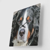 Bernese Mountain Dog Foto Image Quadratische Wanduhr (Winkel)
