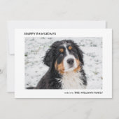 Bernese Mountain Dog Foto Minimal Weihnachten (Vorderseite)