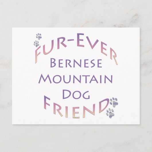 Bernese Mountain Dog Furever Postkarte (Vorderseite)
