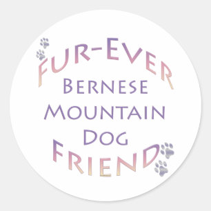 Bernese Mountain Dog Furever Runder Aufkleber