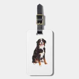 Bernese Mountain Dog   Gepäckanhänger