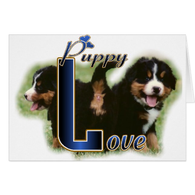Bernese Mountain Dog Geschenke (Vorderseite (Horizontal))
