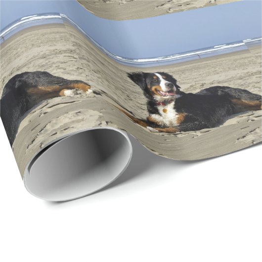 Bernese Mountain Dog Geschenkpapier (Rolleneckpunkt)