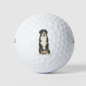 Bernese Mountain Dog Golfball (Vorderseite)
